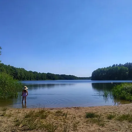 Dom wakacyjny Kaszuby Nad Jeziorem, Las, Grill, Ognisko, Taras, 6 Osób